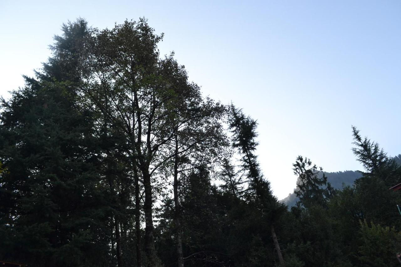Forest Wood Cottage Manāli Kültér fotó